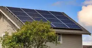 Solar panels on the roof of a suburban house with a tree in the foreground.
