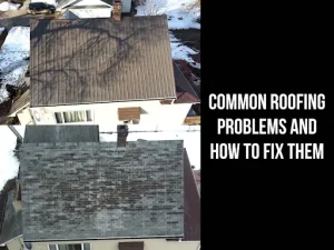 Aerial view of two different house roofs, one clean and the other with moss growth, with text about roofing problems.