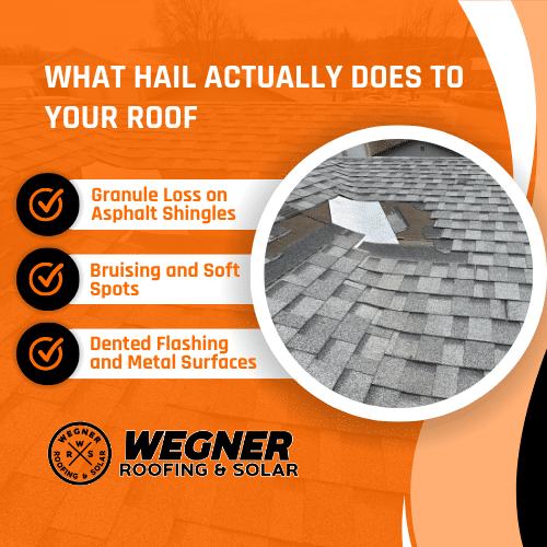 Wegner Roofing infographic showing shingle granule loss, bruising, and metal surface hail damage in Billings MT