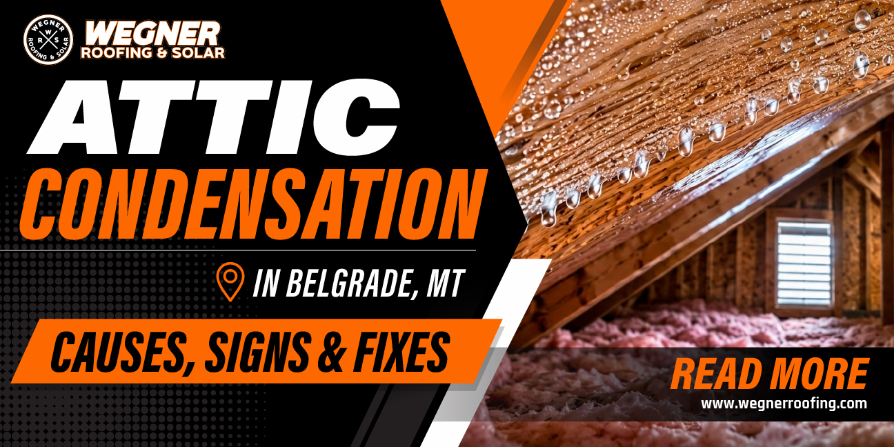 Attic condensation in Belgrade MT showing moisture buildup on rafters with insulation and signs of excess humidity.