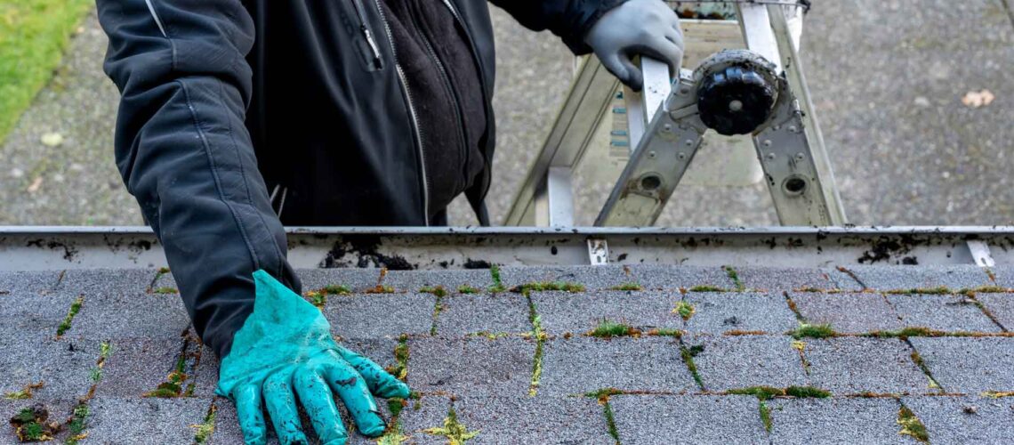 How to Clean Roof Shingles - Wegner Roofing & Solar